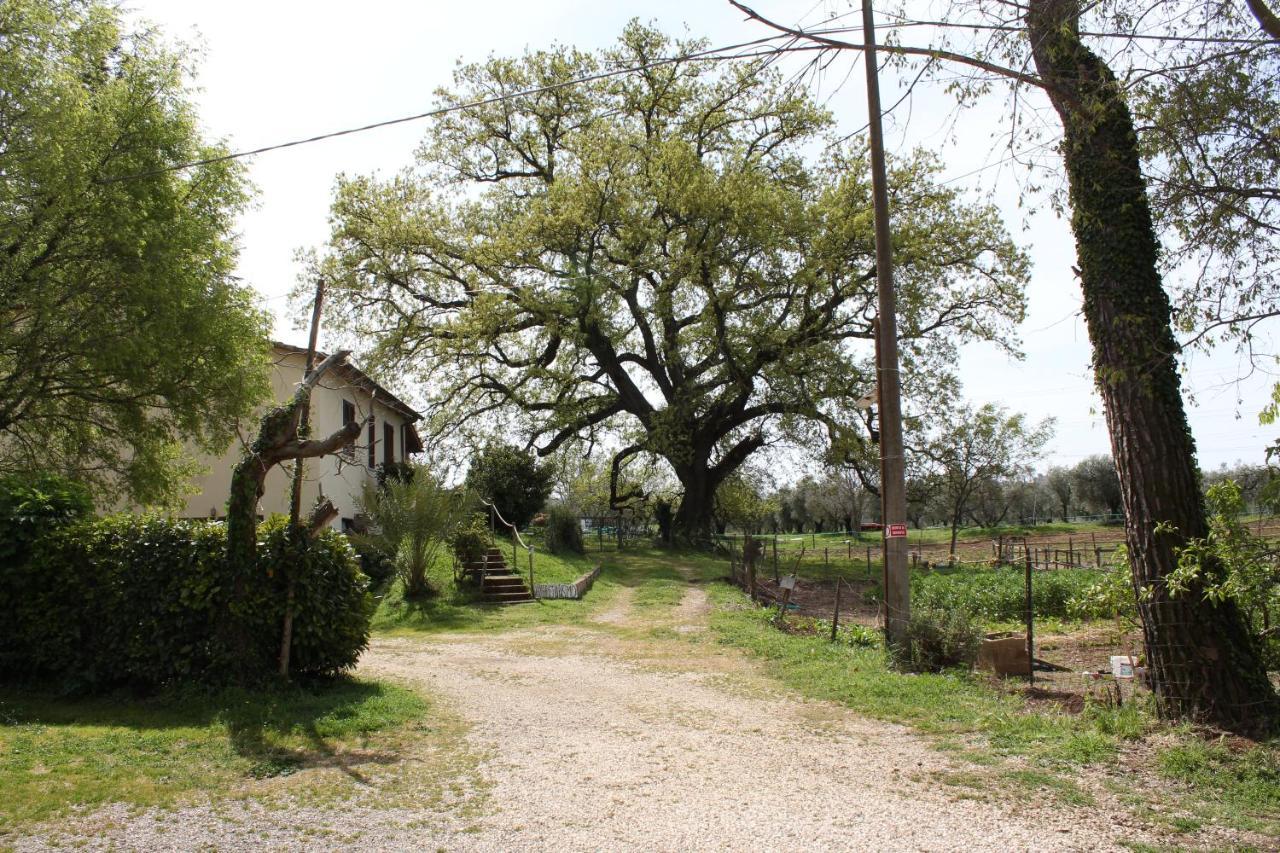 Agriturismo Il Capannone Montemerano Eksteriør bilde