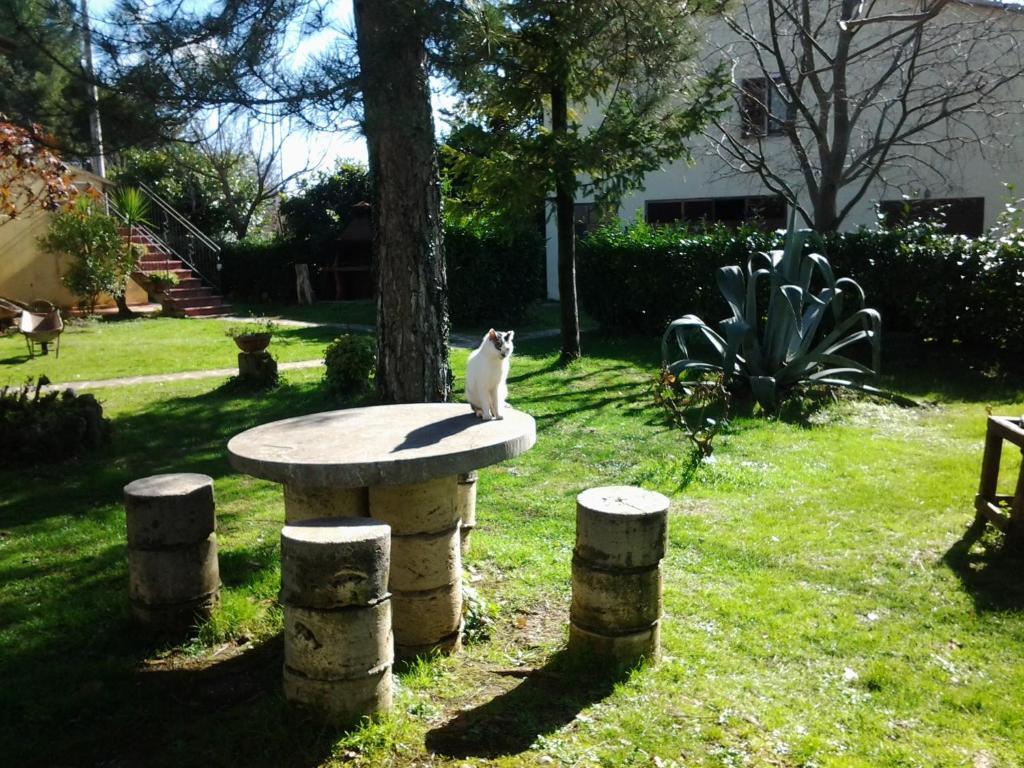 Agriturismo Il Capannone Montemerano Eksteriør bilde
